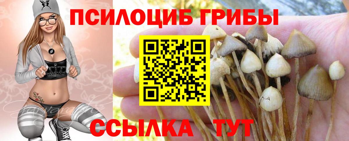 Псилоцибиновые грибы MAGIC MUSHROOMS Чебоксары
